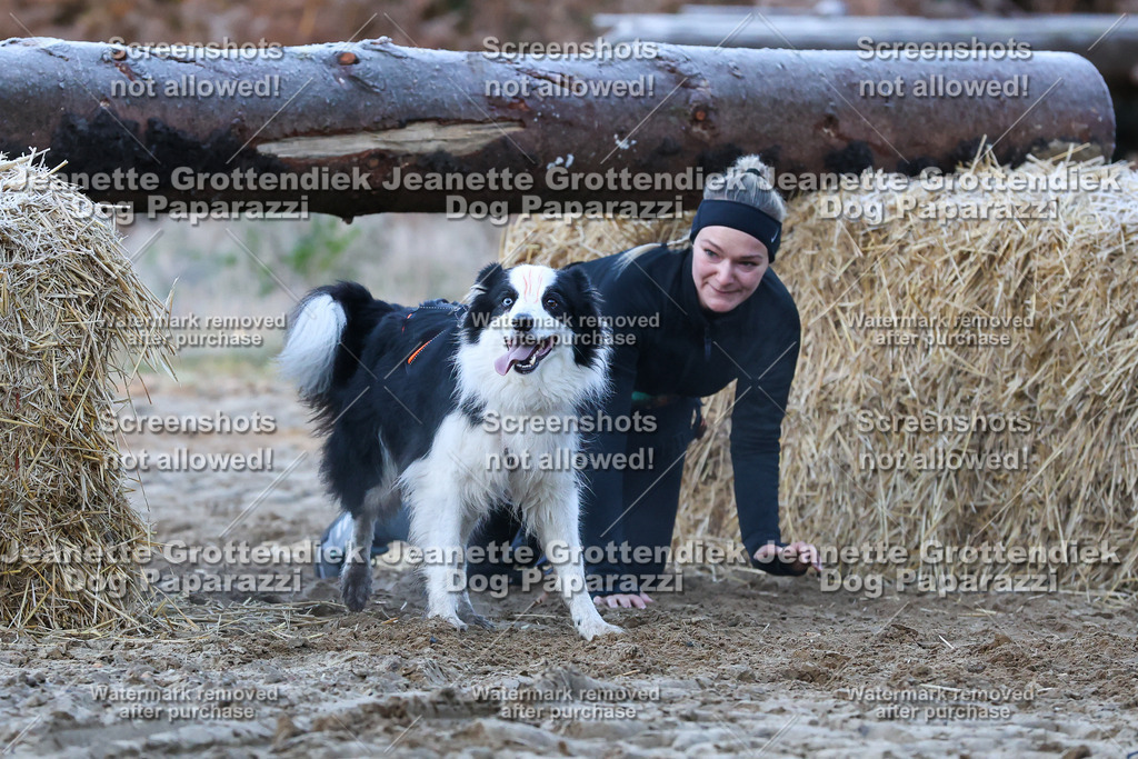 Dog Paparazzi - Strongdog 10-25-364 | Dog Paparazzi Jeanette Grottendiek Fotografie & Videografie - Realisiert mit Pictrs.com