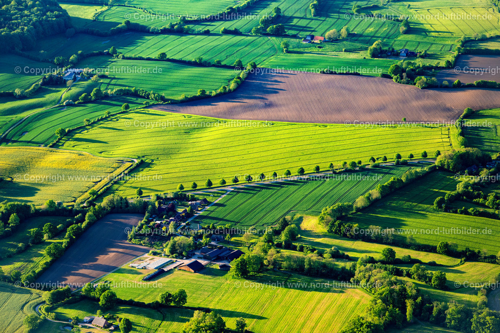 Holststeinische_Schweiz_ELS_1886150524 | RASTORF 15.05.2024 Scheunen- Gebäude am Rande von landwirtschaftlichen Feldern und Nutzflächen an der Straße Hohenberg in Rastorf im Bundesland Schleswig-Holstein, Deutschland. // Barn building on the edge of agricultural fields and farmland on street Hohenberg in Rastorf in the state Schleswig-Holstein, Germany. Foto: Martin Elsen