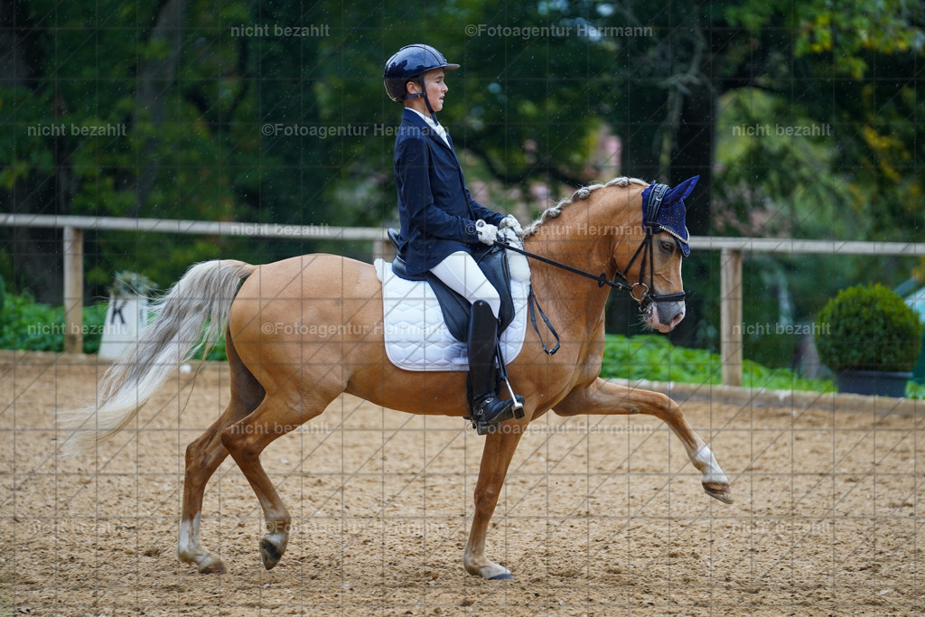 20221008-FAH02002 | Diessen am Ammersee, 2022, Dressur- und Springturnier, Reitsportbilder, Turnierfotografen Bayern, Pferdefotografen, Fotoagentur Herrmann, Turnierbilder