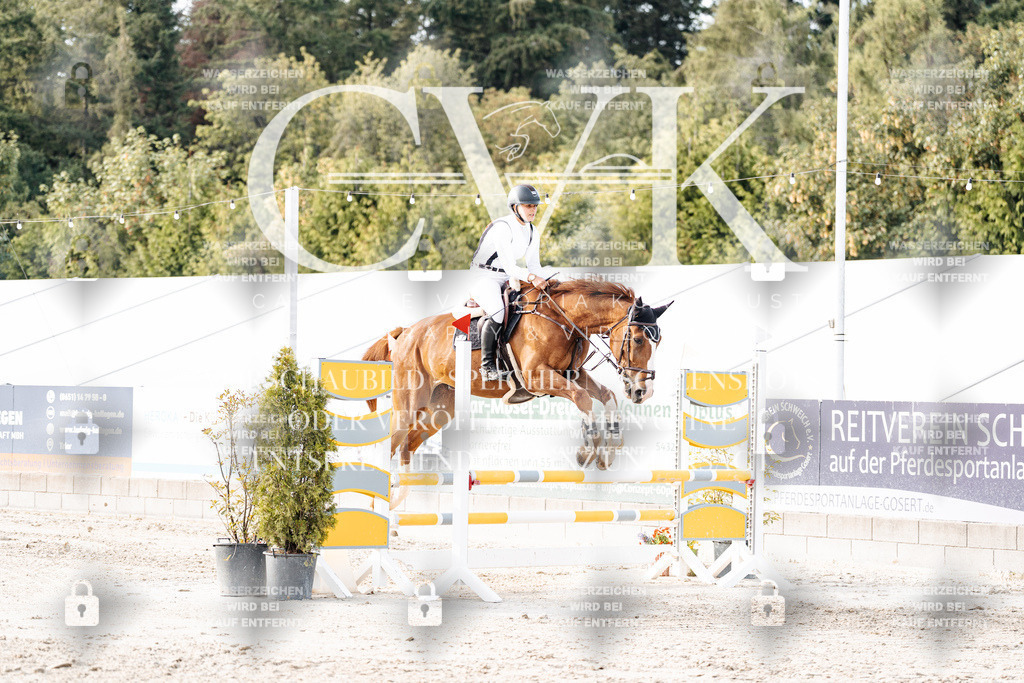 CK906937 | Turnierfotografie Pferdefotografie Trier Rheinland-Pfalz Pferdesport Reitsport Tierfotografie Sportfotografie Pferdevideo Pferdevideografie Equestrianvideography equestrianphotography  - Realisiert mit Pictrs.com