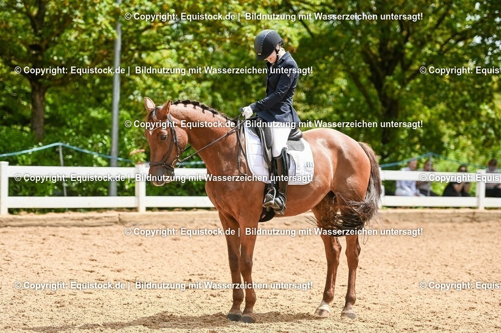 20230716_03_Dressurprfg. Kl.L - Tr._0378 | equistock