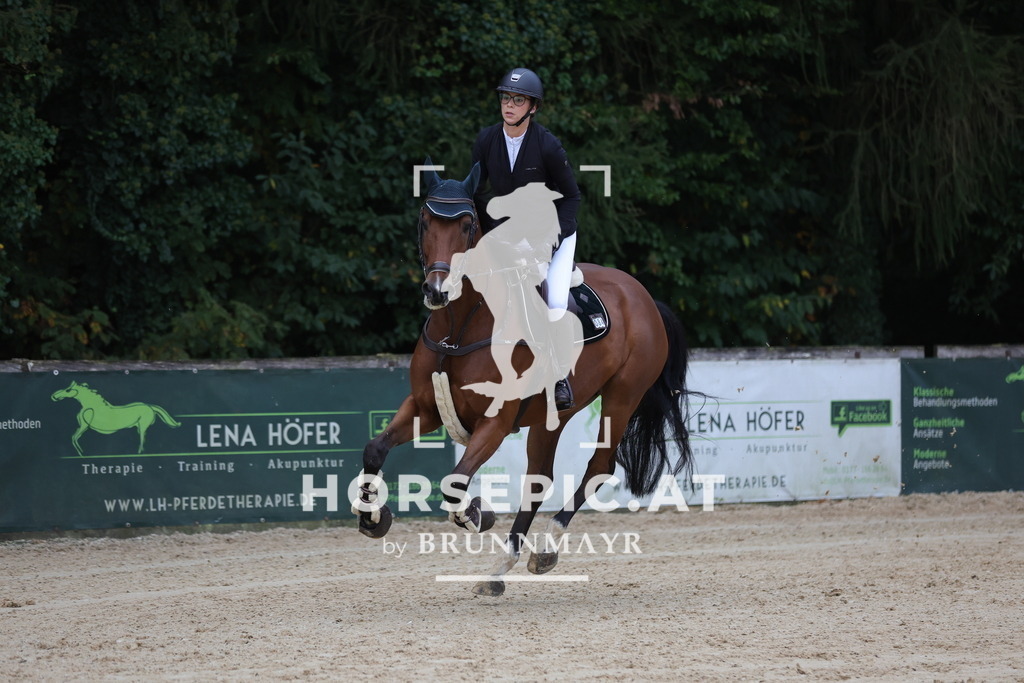 0P6A4906 | Willkommen bei Brunnmayr - Design & Fotografie – Ihrem Spezialisten für Reitturniere und Pferdeveranstaltungen in Oberösterreich, Salzburg und Bayern! Seit über 17 Jahren sind wir leidenschaftlich dabei.