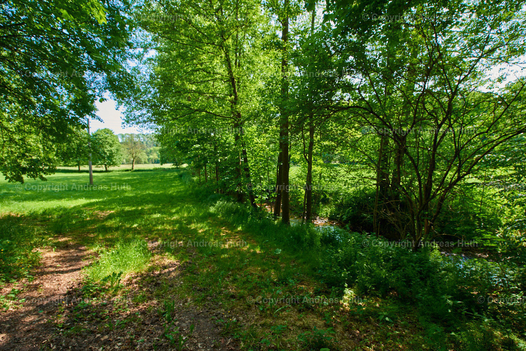Im Triebischtal bei Blanckenstein 01 | Bedeutsame Landschaften Deutschlands - Realisiert mit Pictrs.com