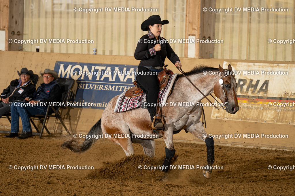 LAU00912 | dv-media-shop - Realisiert mit Pictrs.com