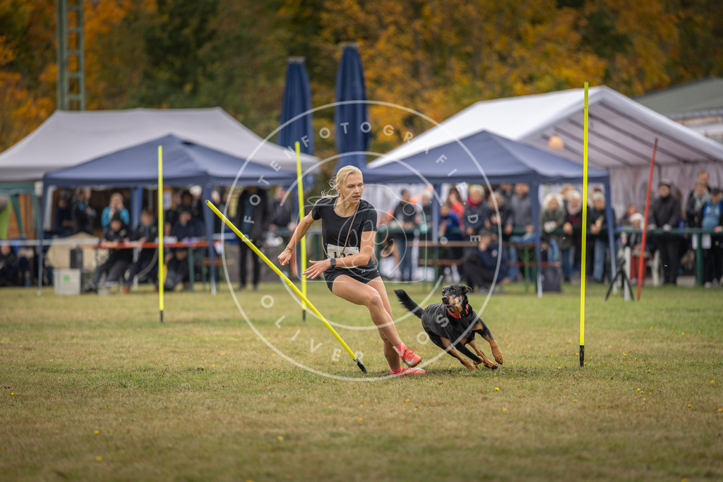 Pfotenfotografie_DV3A7709 | Hundefotografie, Tierfotograf, Pfotenfotografie, Fotoshooting Hund, Hunde Portrait, Hundesport, Hundeportraits, Heideshooting, Hunde, Sportfotograf, Hundefotograf, Turnierhundsport, THS,  - Realisiert mit Pictrs.com