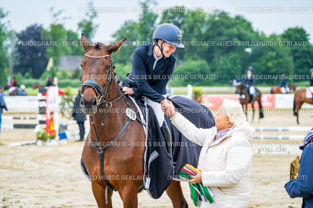 DSC02773 | Pferdegrafie