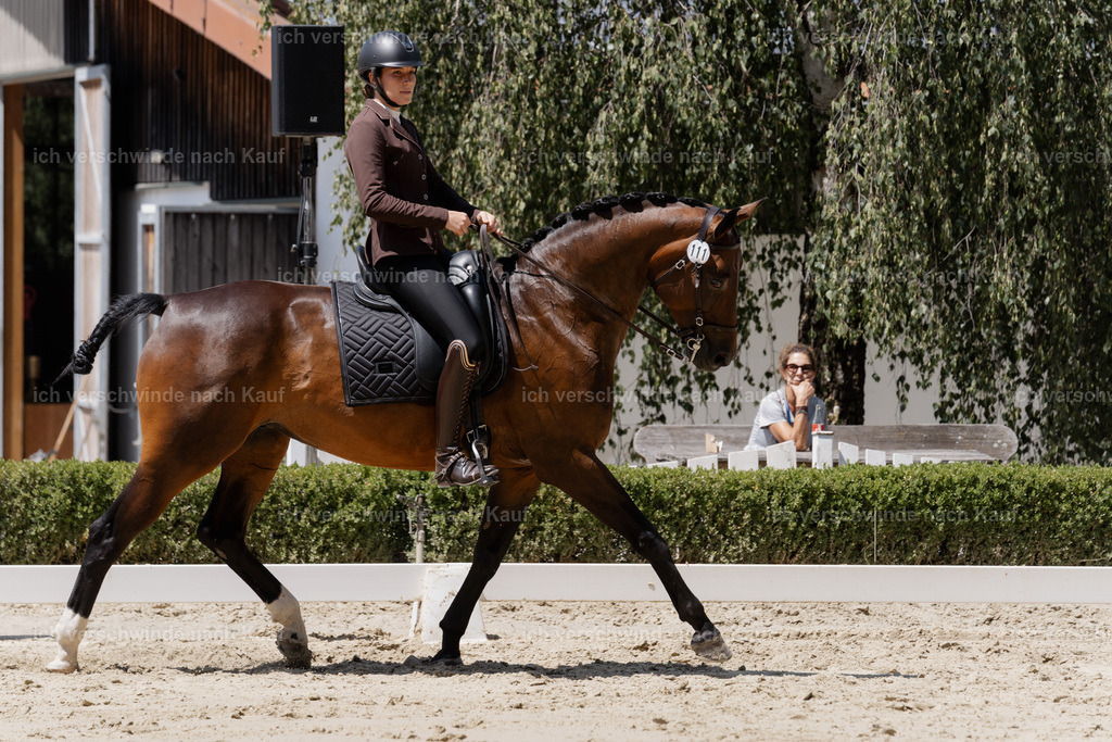WS_DR_111_sinafilmart_IN02693 | working equitationturnier fotograf videograf stoibphotography marixx film working equitation deutschland reitsport turnierfotografie eventfotografie equestrian events
