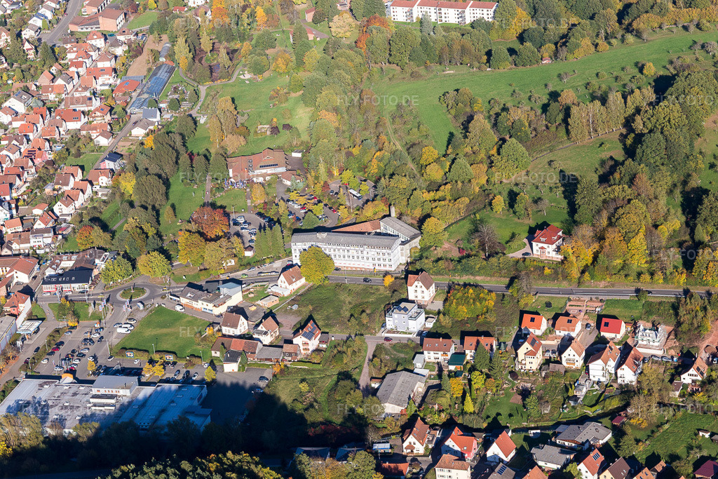 Luftbild: Henn Schaftbau in Dahn im Bundesland Rheinland-Pfalz in Deutschland. Foto: IMG_103995.jpg vom 14.10.2017 durch Werner Riehm/FLY-FOTO.deWWW.HENN-SCHAFTBAU.DE