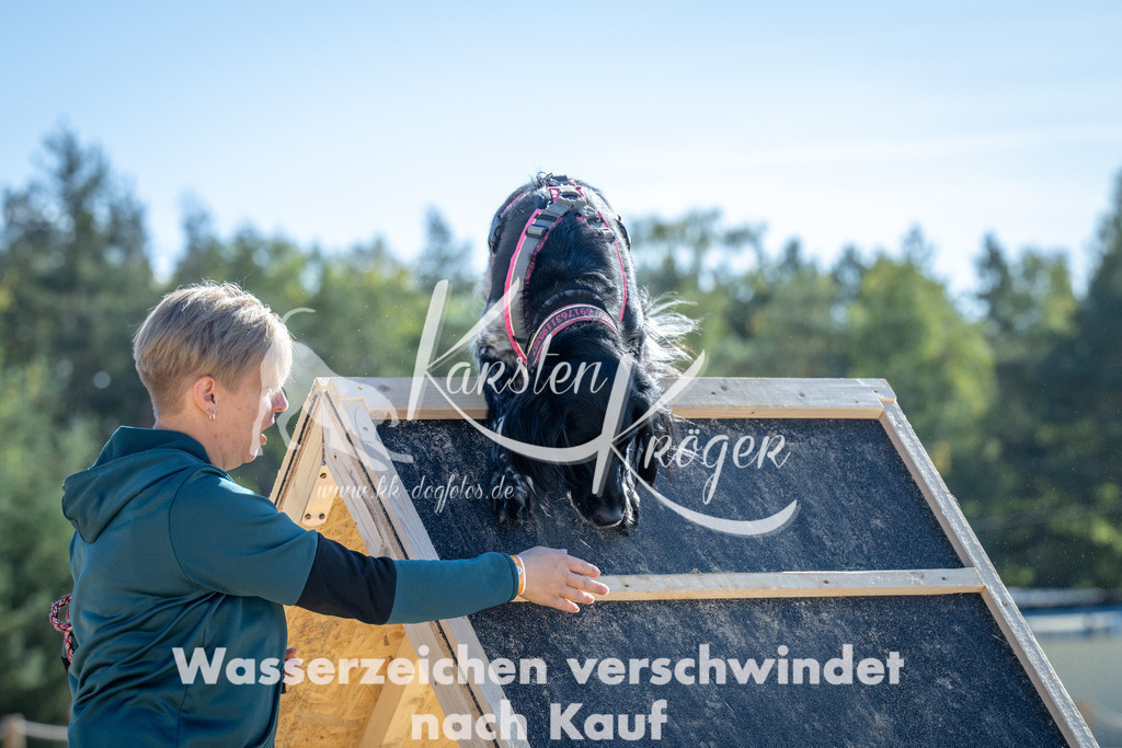1249_ZZ93553-2 | kk-dogfotos