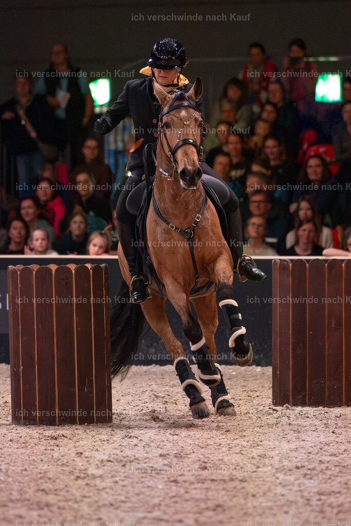 JoseraCup-223 | working equitationturnier fotograf videograf stoibphotography marixx film working equitation deutschland reitsport turnierfotografie eventfotografie equestrian events