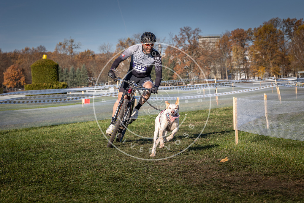 CaniXpix_0L8A5264 | Hundefotografie, Tierfotograf, Pfotenfotografie, Fotoshooting Hund, Hunde Portrait, Hundesport, Hundeportraits, Heideshooting, Hunde, Sportfotograf, Hundefotograf, Turnierhundsport, THS,  - Realisiert mit Pictrs.com