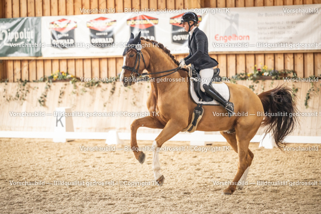 _D5A9204 | Emotionale Pferde- & People-Fotografie rund um Heidelberg, Leimen & Umgebung. Natürliche Fotos von Pferd, Mensch & Familie. Jetzt Termin sichern!