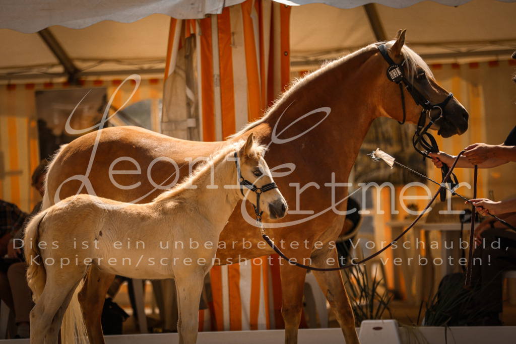 06.DoH00136 | Leoni Ertmer Photography - Realisiert mit Pictrs.com