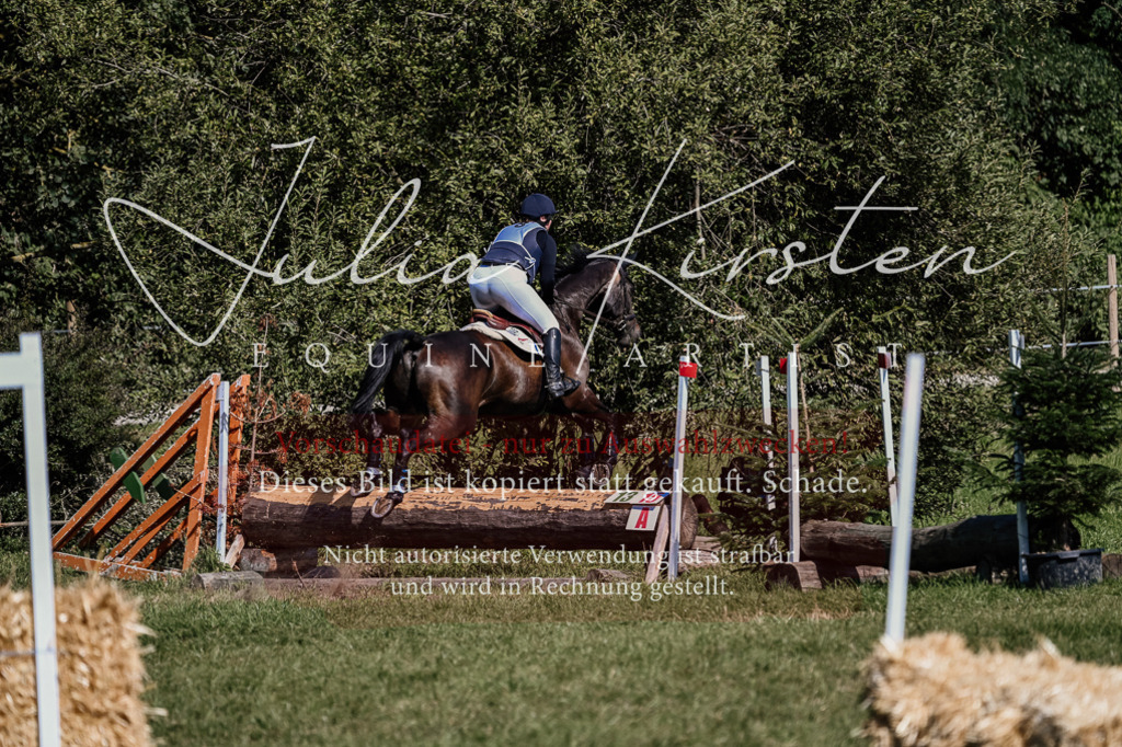 DSC_1624 | Pferde- und Turnierfotografie in Westsachsen. Pferdeportraits, Auftragszeichnungen und intuitive Kunst.