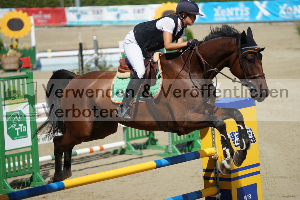 DSC05765 | equestrian-live-com