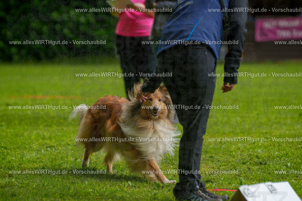 @allesWIRTHgut_Tierfotografie - www.allesWIRTHgut.de - 7R503059 | Professionelle Tierfotografie in Mönchengladbach von Daniel Wirth (allesWIRTHgut). Liebevolle & natürliche Bilder von Hunden & Katzen für unvergessliche Erinnerungen.