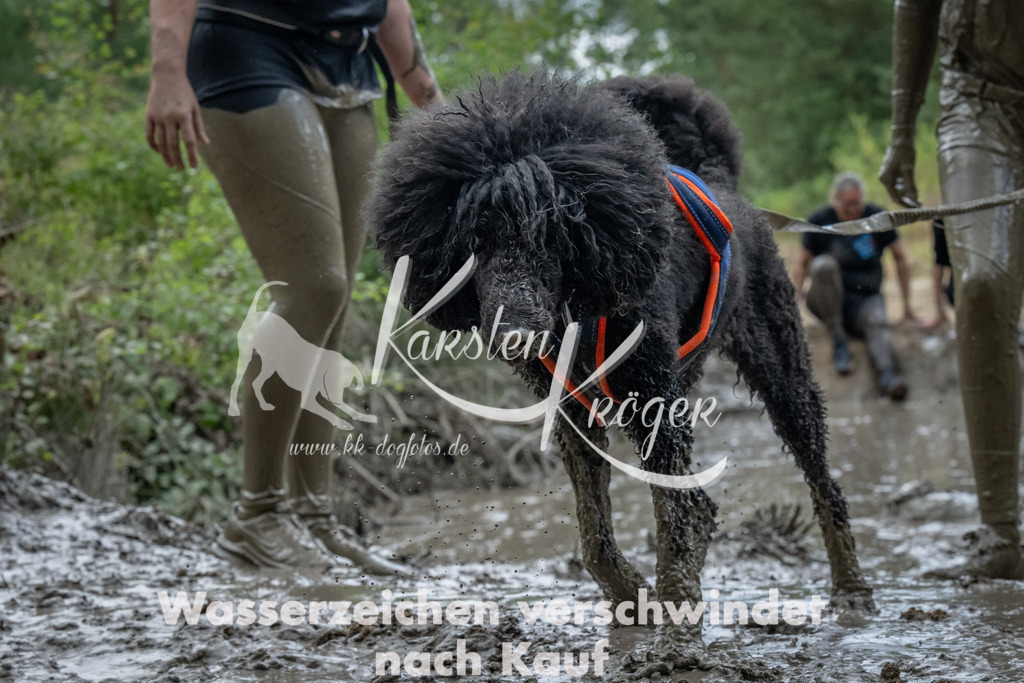 1433_ZZ92947 | kk-dogfotos