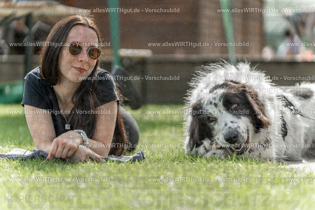 Hundeschwimmen_Volksbad_2026-allesWIRTHgut_Tierfotografie-2609061523-7R501499 | Professionelle Tierfotografie in Mönchengladbach von Daniel Wirth (allesWIRTHgut). Liebevolle & natürliche Bilder von Hunden & Katzen für unvergessliche Erinnerungen.