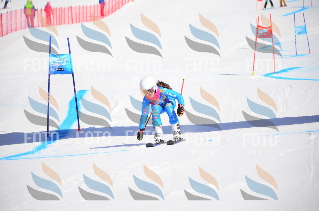 VR4_8850 | holidayphoto