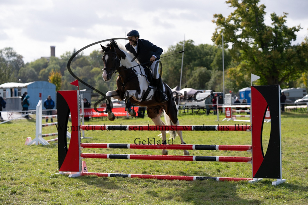 A7V06933 | Pferdefotograf