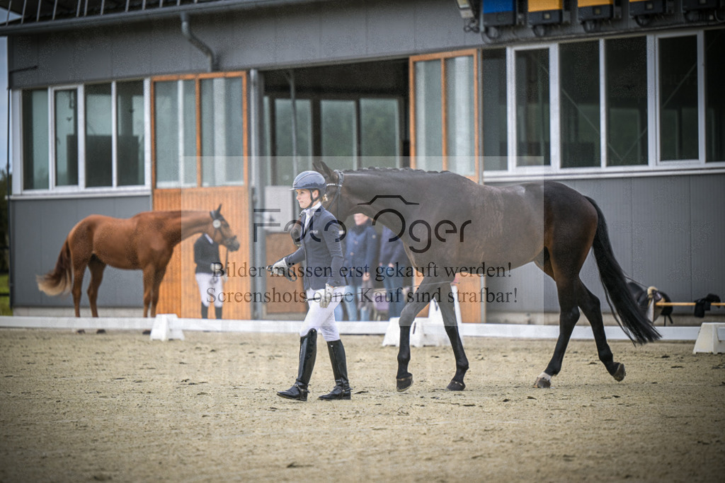 DOS_0613 | Entdecke hochwertige Reitturnierfotos von Foto Oger. Professionell, emotional und authentisch – jetzt Lieblingsmomente im Shop bestellen.Deutschlandweite Turnierfotografie. - Realisiert mit Pictrs.com