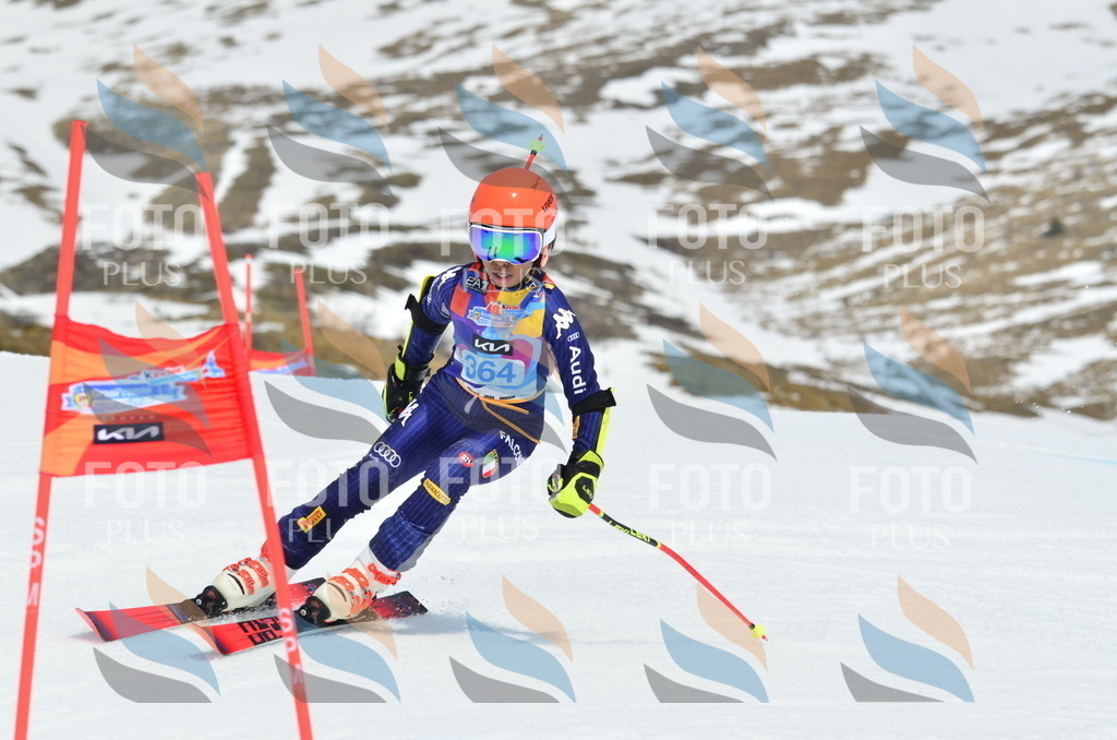 _ELE2915 | holidayphoto