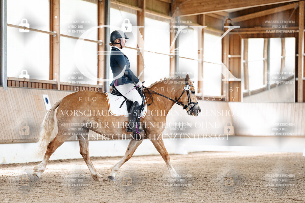 CK900635 | Turnierfotografie Pferdefotografie Trier Rheinland-Pfalz Pferdesport Reitsport Tierfotografie Sportfotografie Pferdevideo Pferdevideografie Equestrianvideography equestrianphotography  - Realized with Pictrs.com