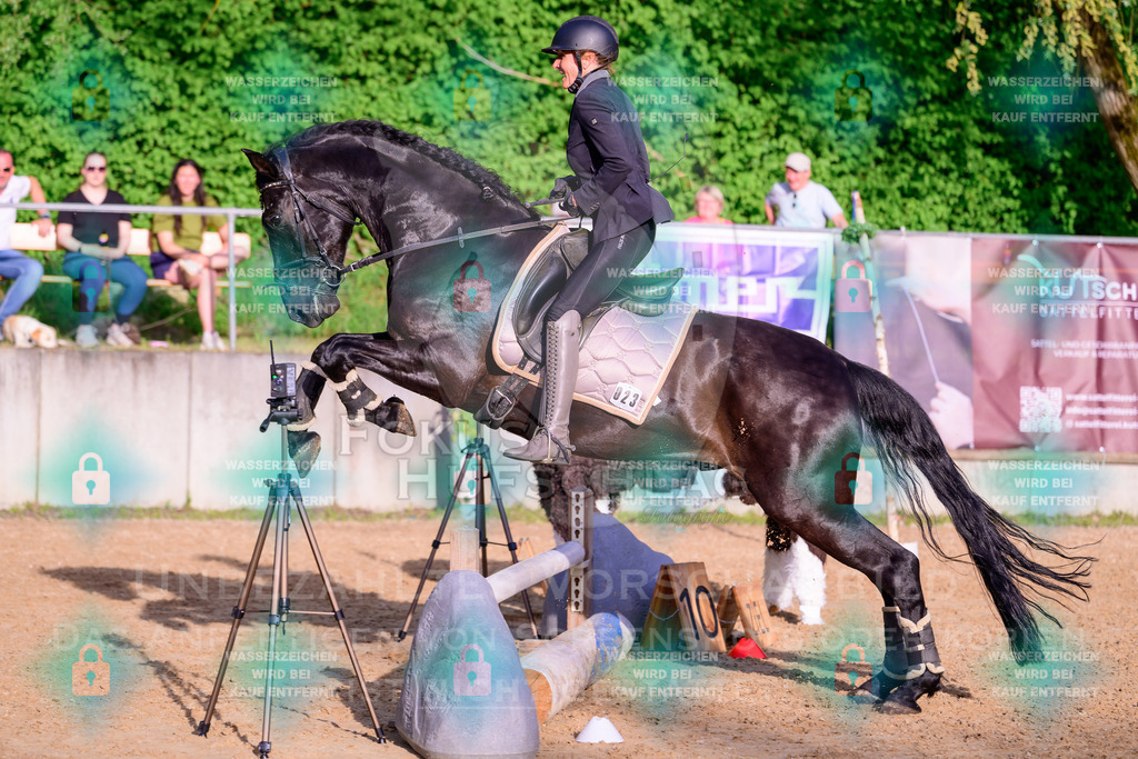 02052026-Giesenbach-03-Speedtrail-0690 | Fokus Hufschlag Fotografie - Realisiert mit Pictrs.com