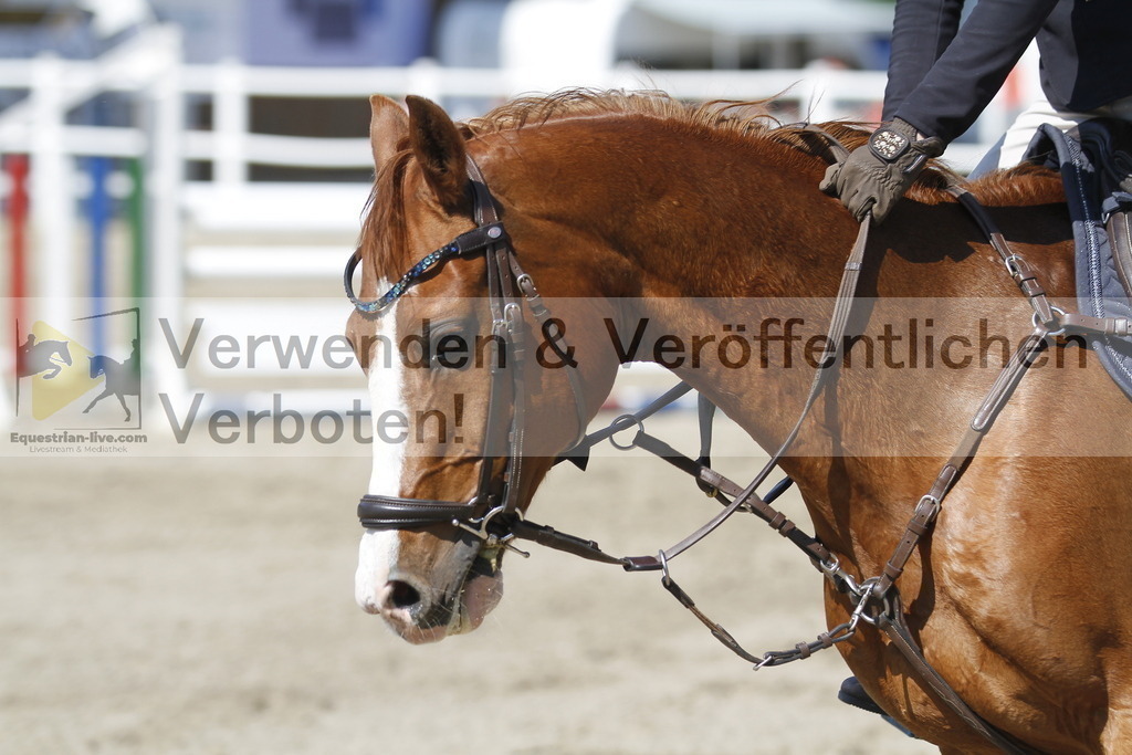 _MG_1742 | equestrian-live-com