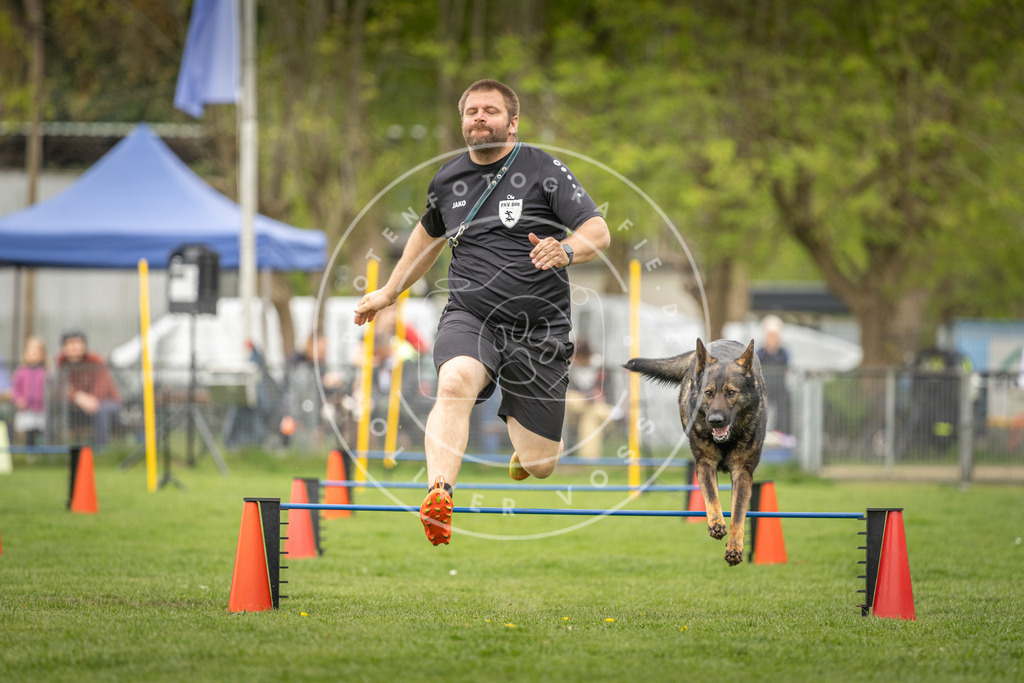 Pfotenfotografie_DV3A0714 | Hundefotografie, Tierfotograf, Pfotenfotografie, Fotoshooting Hund, Hunde Portrait, Hundesport, Hundeportraits, Heideshooting, Hunde, Sportfotograf, Hundefotograf, Turnierhundsport, THS,  - Realisiert mit Pictrs.com