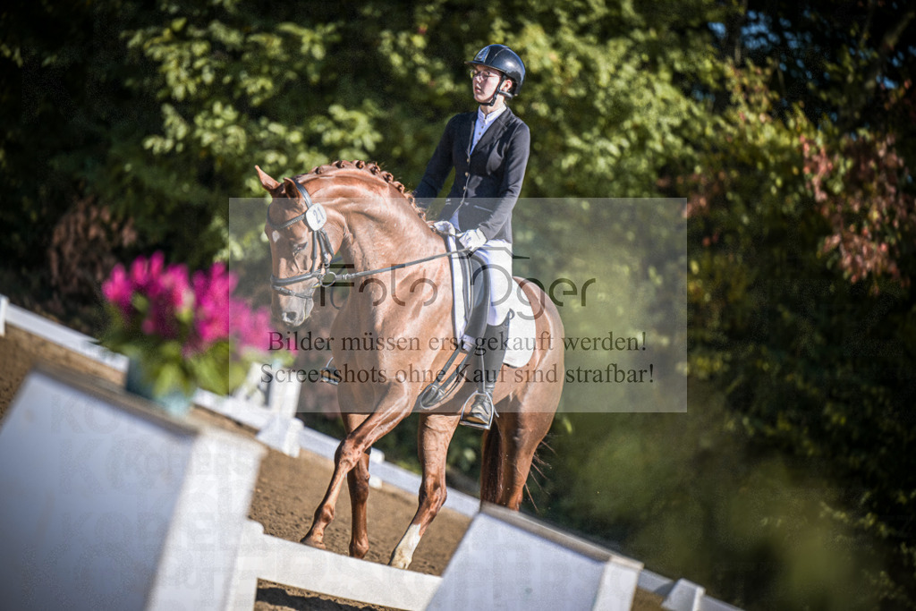DOS_2279 | Entdecke hochwertige Reitturnierfotos von Foto Oger. Professionell, emotional und authentisch – jetzt Lieblingsmomente im Shop bestellen.Deutschlandweite Turnierfotografie. - Realisiert mit Pictrs.com