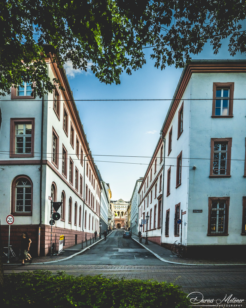 _DSC2625 | Fotografien, Fotos und Bilder aus Mainz, Frankfurt, Wiesbaden und anderen Orten auf der Welt - Fotografiert von Darius Metzner