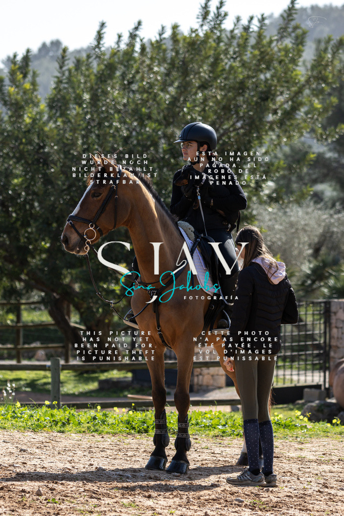 IMG_6085 | s-jay-photography - Realisiert mit Pictrs.com