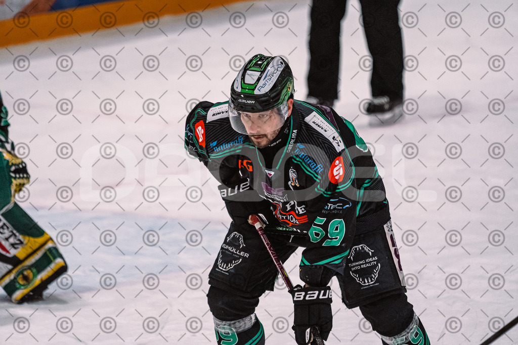Alligators_vs_Peiting_04_01_2026-038 | Höchstadt Alligators Fotogalerie: Eishockey-Action aus Franken. Professionelle Spielfotos, Portraits & Stadionbilder zum Download. Jetzt entdecken! - Realisiert mit Pictrs.com