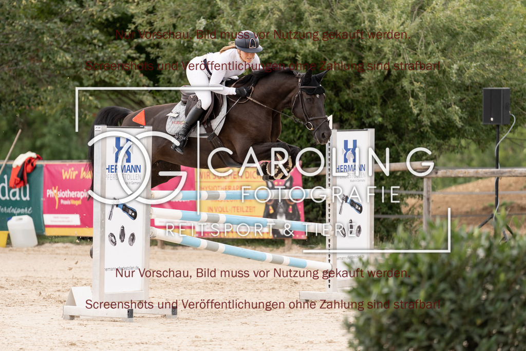 DSC06549 | Springturnier_Teamchallege_Talheim_2026, Jennifer_Strohm, Evita_JS