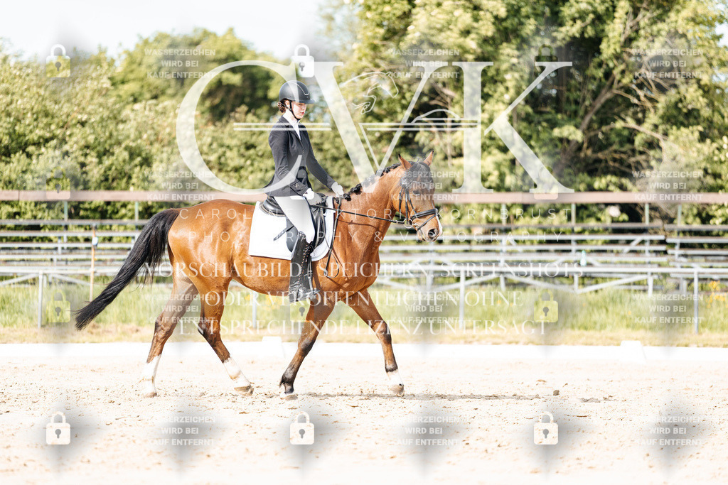 CK900510 | Turnierfotografie Pferdefotografie Trier Rheinland-Pfalz Pferdesport Reitsport Tierfotografie Sportfotografie Pferdevideo Pferdevideografie Equestrianvideography equestrianphotography  - Realisiert mit Pictrs.com