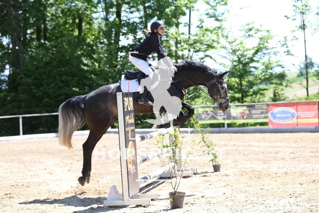 DL2Q1639 | Willkommen bei Brunnmayr - Design & Fotografie – Ihrem Spezialisten für Reitturniere und Pferdeveranstaltungen in Oberösterreich, Salzburg und Bayern! Seit über 17 Jahren sind wir leidenschaftlich dabei.