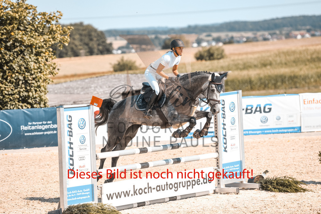14 Springpferde A2 (45 von 85) | Nadine Braun-Pauls Fotografie - Realisiert mit Pictrs.com