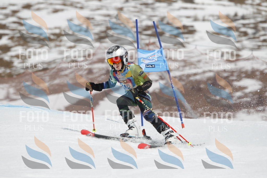 _U3G2786 | holidayphoto