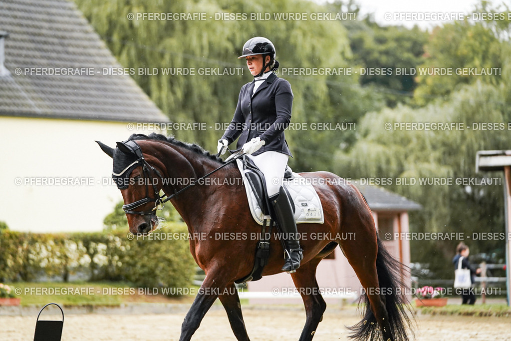 DSC07408 | Pferdegrafie