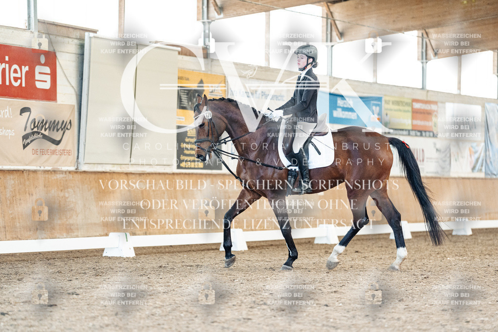 CK908108 | Turnierfotografie Pferdefotografie Trier Rheinland-Pfalz Pferdesport Reitsport Tierfotografie Sportfotografie Pferdevideo Pferdevideografie Equestrianvideography equestrianphotography  - Realisiert mit Pictrs.com