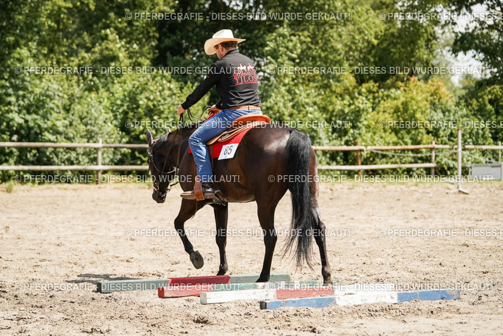 DSC09462 | Pferdegrafie