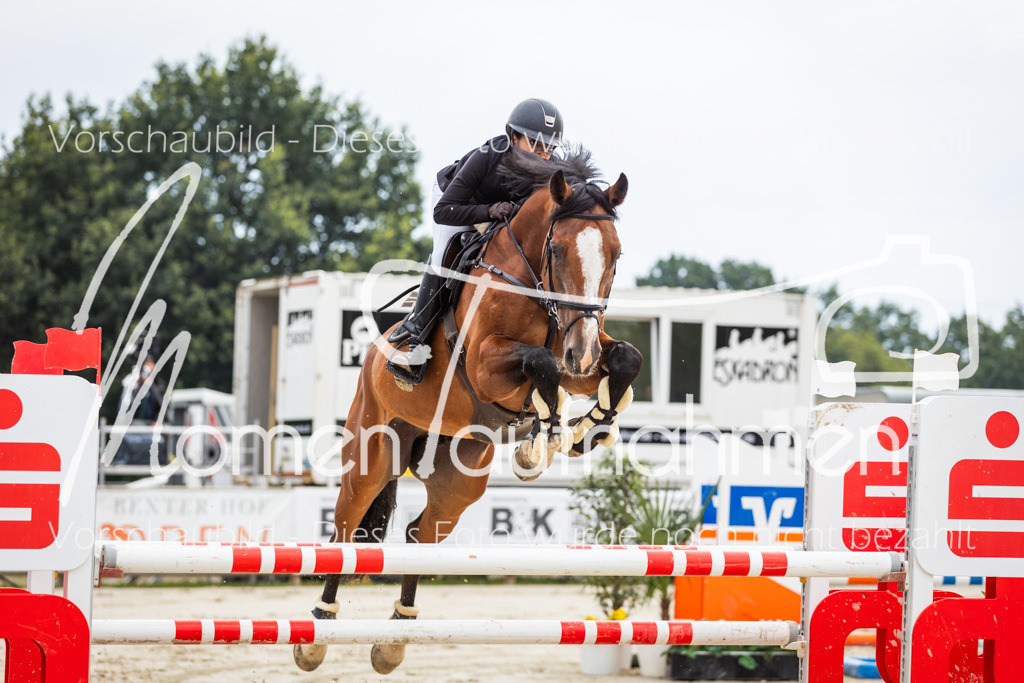 BHO-2PhSpr-M-058 | MomenTaufnahmen Pferdesportfotos