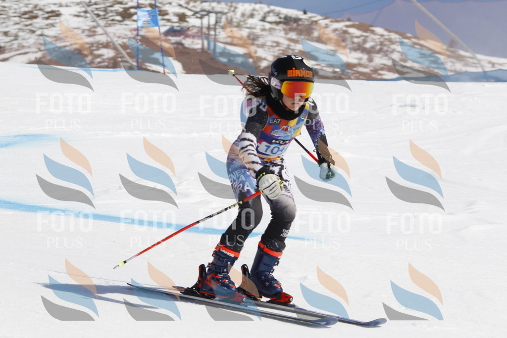 _U3G0383 | holidayphoto