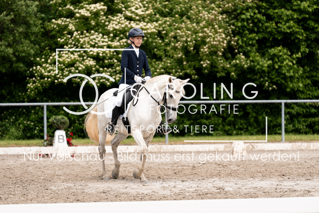 DSC08000 | Carolin Gieschke