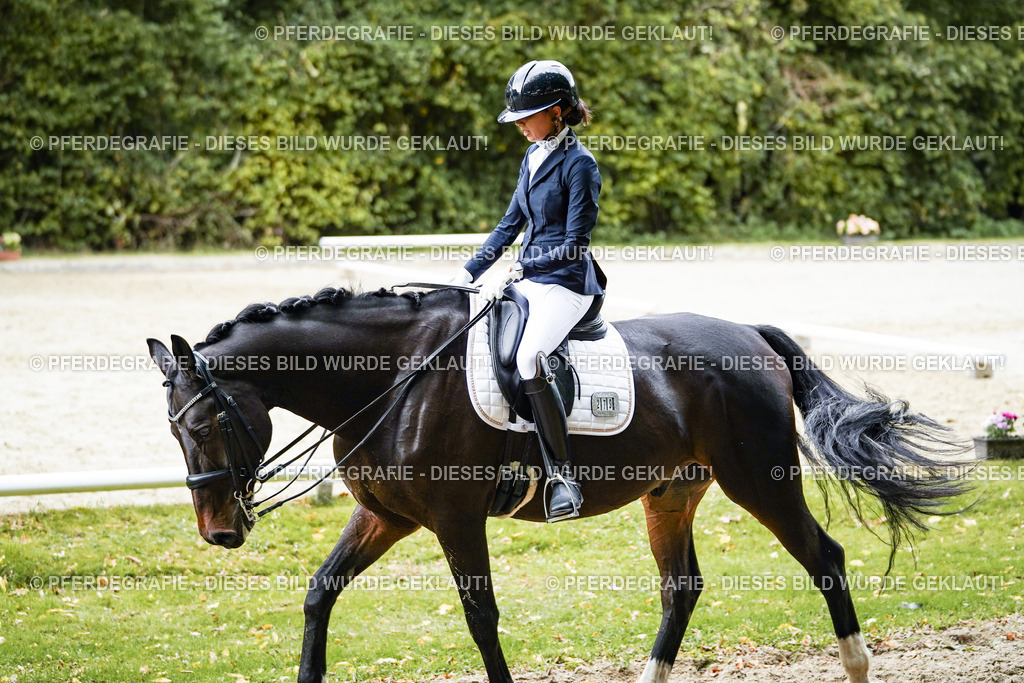 DSC00742 | Pferdegrafie