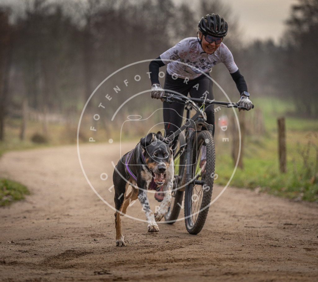 Pfotenfotografie_DV3A1622 | Hundefotografie, Tierfotograf, Pfotenfotografie, Fotoshooting Hund, Hunde Portrait, Hundesport, Hundeportraits, Heideshooting, Hunde, Sportfotograf, Hundefotograf, Turnierhundsport, THS,  - Realisiert mit Pictrs.com
