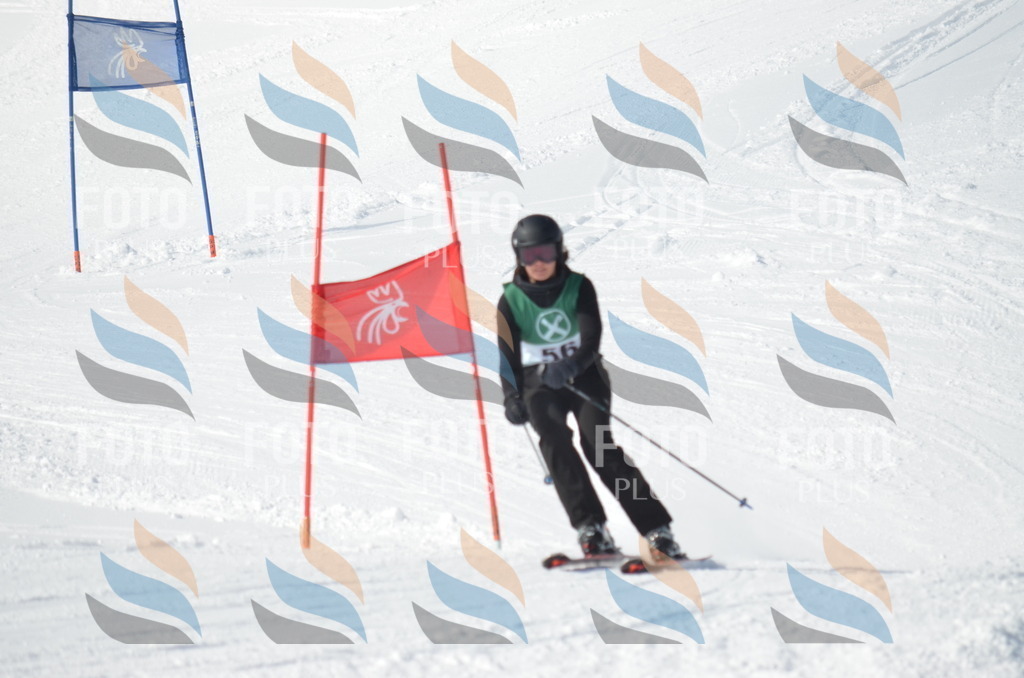 D8827 | holidayphoto