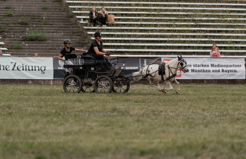 Showprogramm-505 | working equitationturnier fotograf videograf stoibphotography marixx film working equitation deutschland reitsport turnierfotografie eventfotografie equestrian events