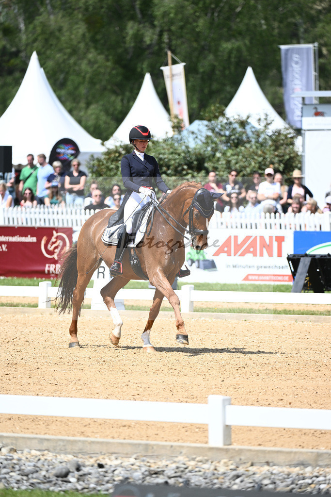 Baer_Superstar_12243738 | hf-fotografie - Realisiert mit Pictrs.com